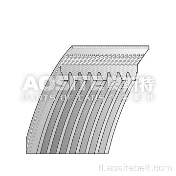 V-Rbbed Belt para sa DAF CF FTG